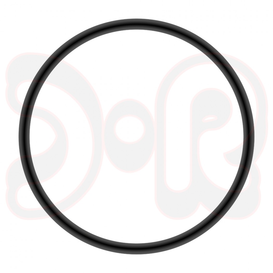 SCAPP O-Ringe 26 x 2 mm, Beutel mit 100 Stück, für BYMAT-Geräte