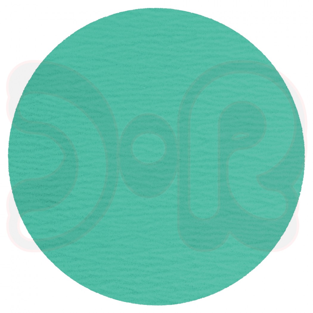 KLINGSPOR PS 77 CK Schleifscheiben kletthaftend wirkstoffbesch., 125 mm, Korn 80